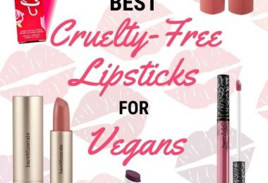 Best Cruelty Free Lipstick